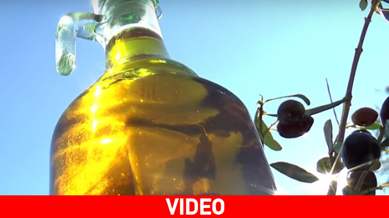 Ελαιόλαδο: Ο “χρυσός” της Κρήτης… που δε μετριέται σε καράτια