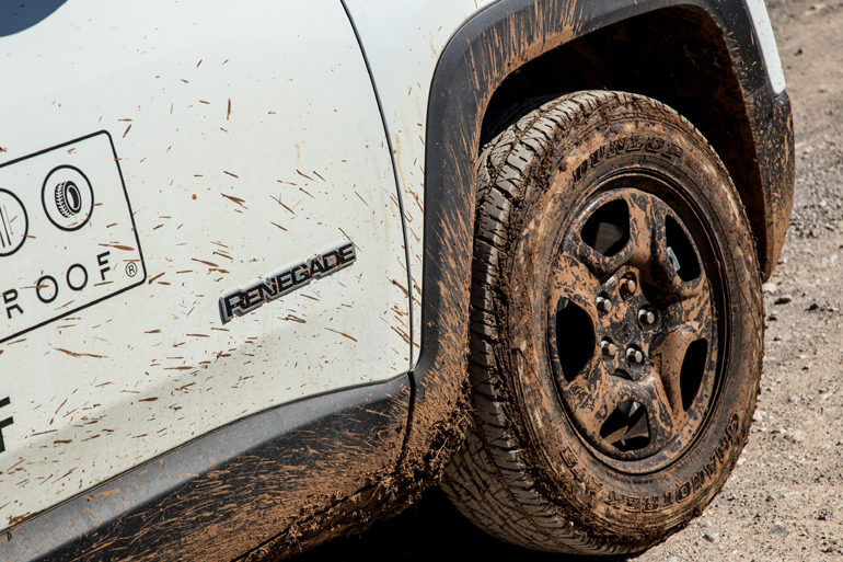 Καθαρόαιμο 4x4...