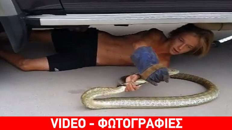O δεκατετράχρονος γητευτής των φιδιών…