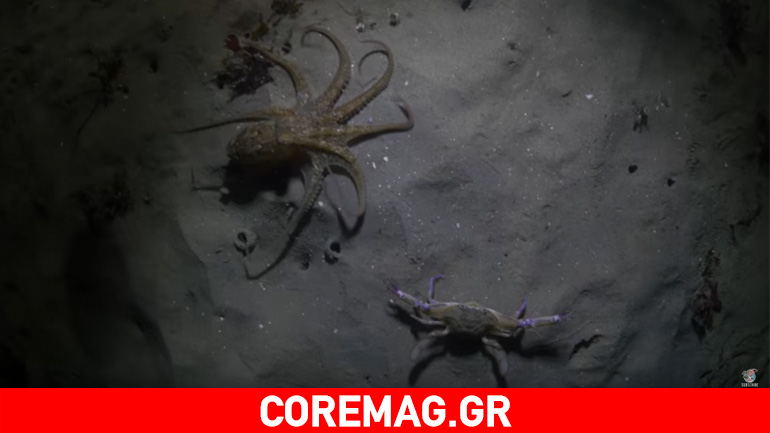 Ο υποβρύχιος «αγώνας» της χρονιάς!