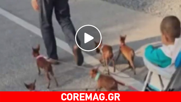 Αυτός ο πατέρας βρήκε τη λύση!