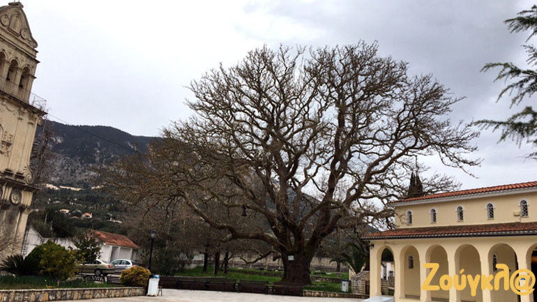 «Καλή Σαρακοστή» από το μοναστήρι Αγ. Γερασίμου στην Κεφαλονιά