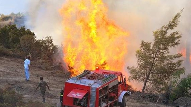 Το 84% των πυρκαγιών οφείλονται στον ανθρώπινο παράγοντα
