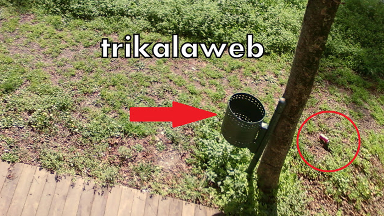 «Μαθήματα γαϊδουριάς» στα Τρίκαλα…