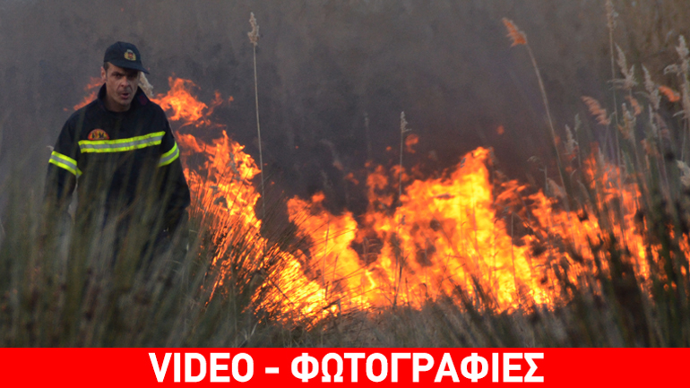 Πυρκαγιά σε βάλτο του Δήμου Άργους-Μυκηνών