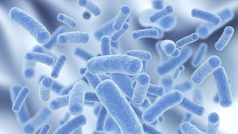 Πώς τα βακτήρια του κόλπου επηρεάζουν τον κίνδυνο μόλυνσης από HIV