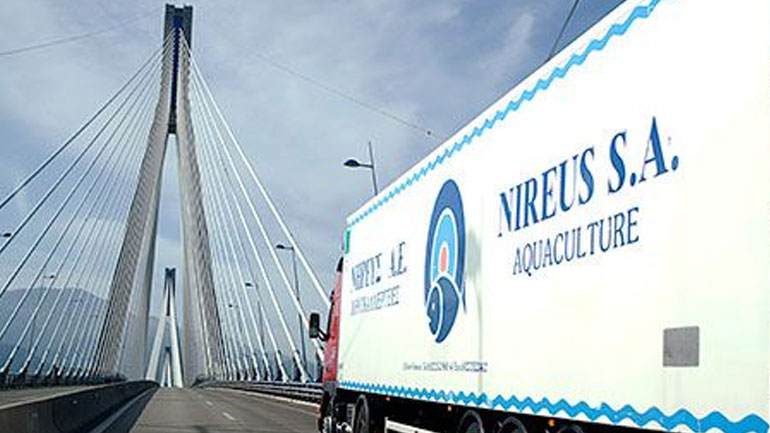 Μεταμεσονύκτια εισβολή στην εταιρεία «Νηρεύς»