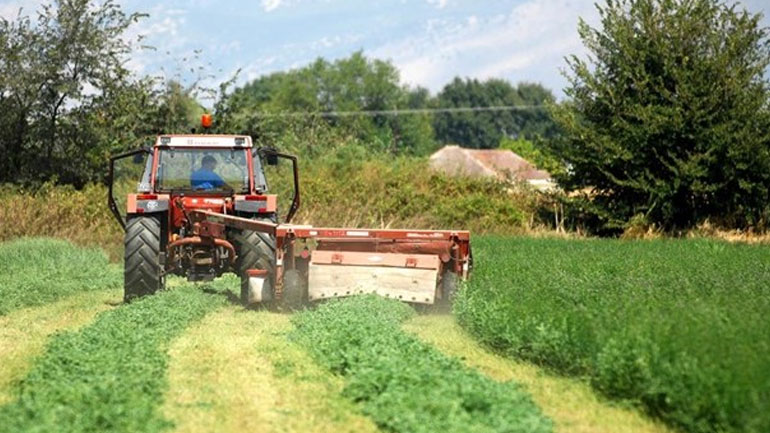 ΕΛΓΑ: Aποζημιώσεις ύψους 11,8 εκατ. ευρώ αύριο σε 7.379 αγρότες ΕΛΓΑ: Aποζημιώσεις ύψους 11,8 εκατ. ευρώ αύριο σε 7.379 αγρότες