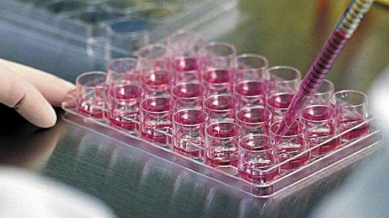 Οι άνδρες και ο ιός των ανθρωπίνων θηλωμάτων