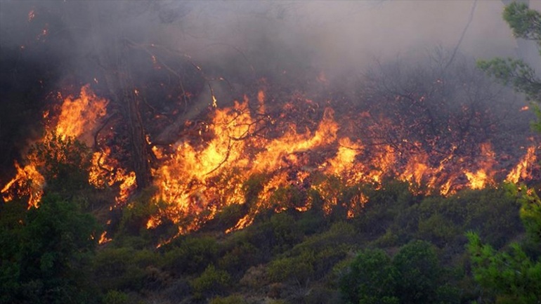 Κρήτη: Πυρκαγιά στην περιοχή Πατσίδερος Ηρακλείου
