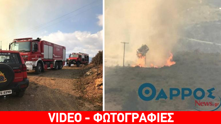 Στις φλόγες δασική έκταση στον Ταΰγετο