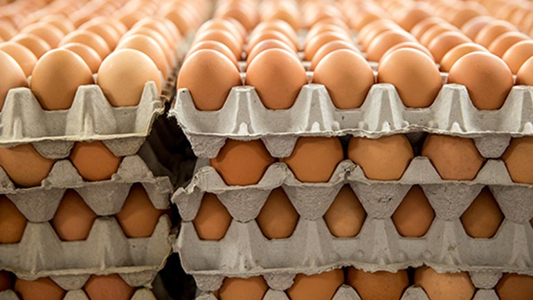 Κατασχέθηκαν 900.000 αυγά χωρίς προβλεπόμενη σήμανση