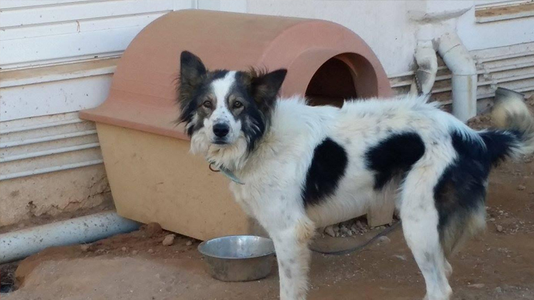 Βοηθήστε τον Μαξ να βρει την ευτυχία