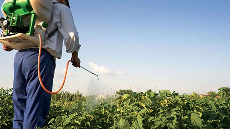 Ζημιές 1,3 δισ. ευρώ στην ΕΕ από φυτοφάρμακα – «μαϊμού»