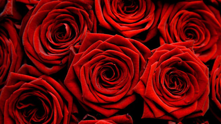 Κόκκινα τριαντάφυλλα για τις γυναίκες δημοσιογράφους της Βουλής