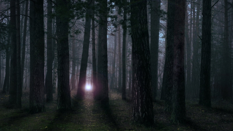 Πέπλο μυστηρίου για τις συνθήκες θανάτου 37χρονου σε δάσος κοντά στο Mall Λευκωσίας