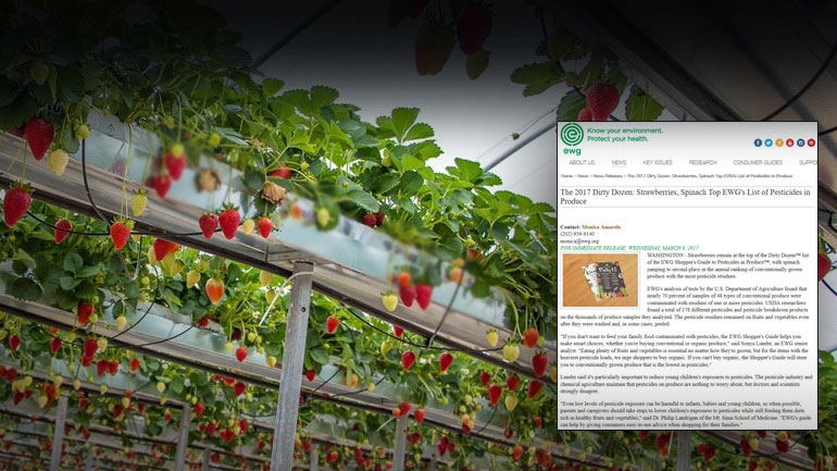 Φυτοφάρμακα στο πιάτο σας