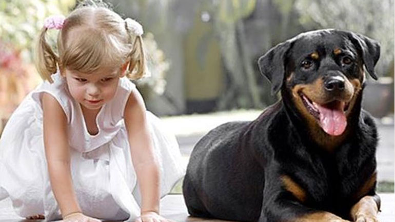Παιδί και κατοικίδιο: Μικρά μυστικά για ομαλή συνύπαρξη