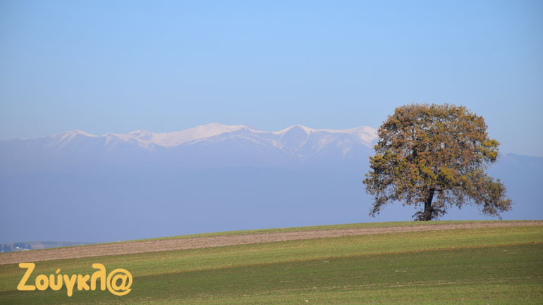 O θεσσαλικός κάμπος με φόντο τον χιονισμένο Όλυμπο