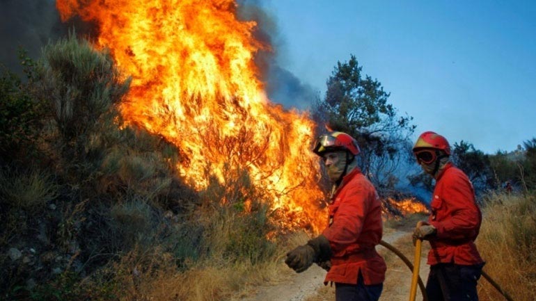 Αυξάνεται ο κίνδυνος δασικών πυρκαγιών στη Μεσόγειο εξαιτίας της κλιματικής αλλαγής