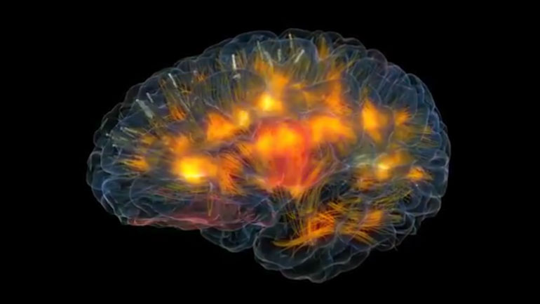 Το έγκλημα τελέσθηκε από πρόθεση ή όχι; Tην απάντηση δίνει ο εγκέφαλος