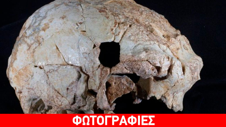 Πορτογαλία: Ανακαλύφθηκε προανθρώπινο κρανίο 400.000 ετών