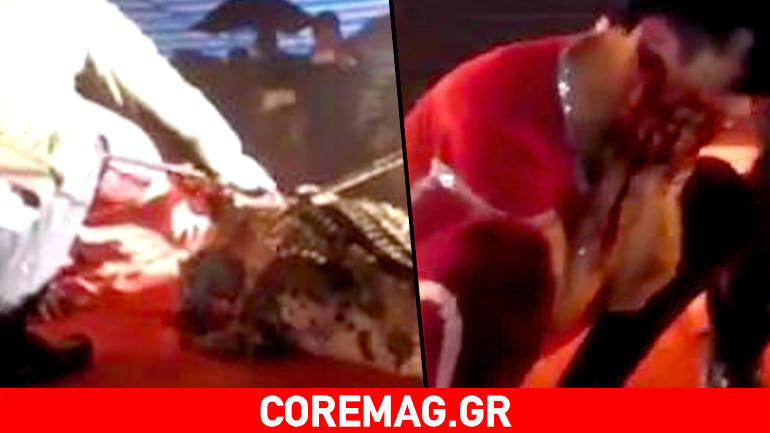 Κροκόδειλος του έφαγε το πρόσωπο