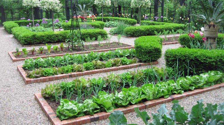 Φτιάξε τον δικό σου λαχανόκηπο με τη στήριξη του ΑΠΘ