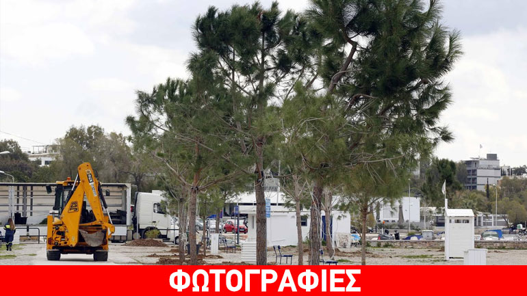 Δενδροφύτευση σε όλη τη Γλυφάδα
