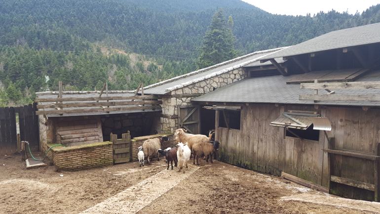 Η... παρέα έχει το δικό της σπίτι!