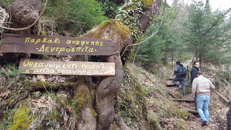 Περπατώντας στο πάρκο γεμίζεις με οξυγόνο...