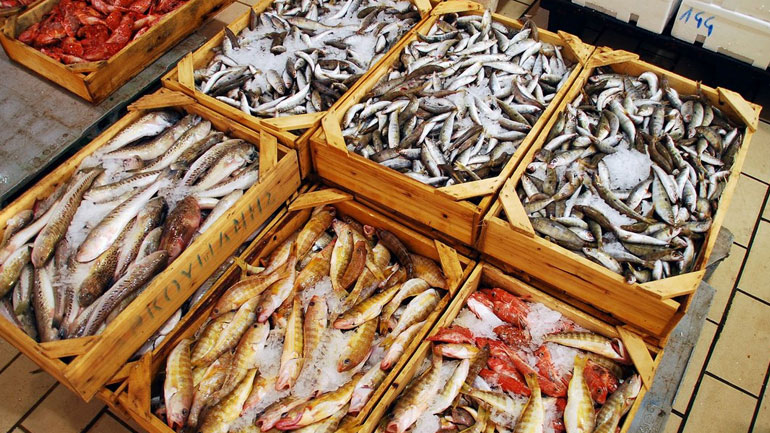 Δέσμευση αλιευμάτων στον Πειραιά