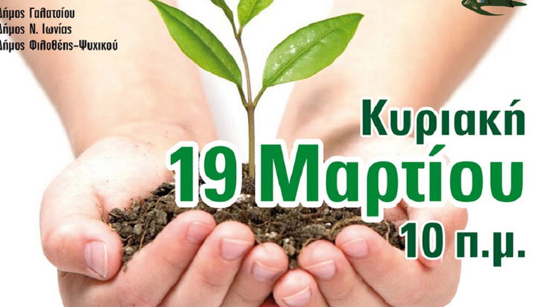 Εθελοντική αναδάσωση στα Τουρκοβούνια