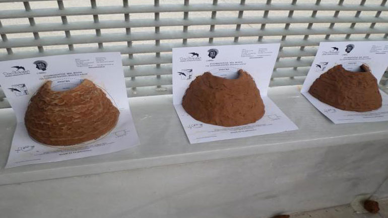 Δράση κατασκευής χελιδονοφωλιών στο Καλοχώρι του Δήμου Δέλτα