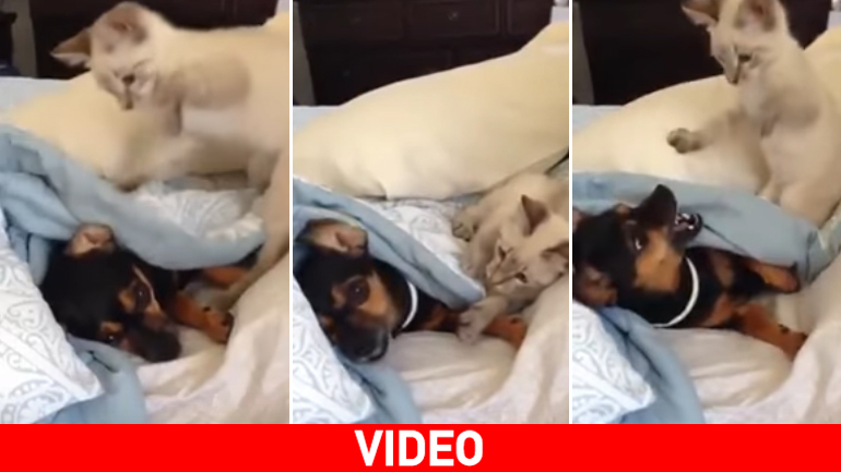 Θέλω να κοιμηθώ, τι δεν καταλαβαίνεις…