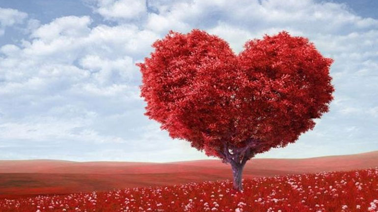 Αυτή η ουσία ξανανιώνει την καρδιά μας!