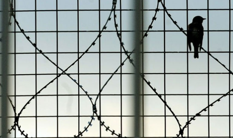 Kερδοσκοπία: Η μεγαλύτερη «πληγή» του σωφρονιστικού συστήματος