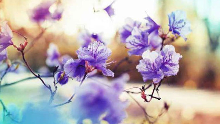 Οι προβλέψεις για τα αισθηματικά σου αυτήν την εβδομάδα