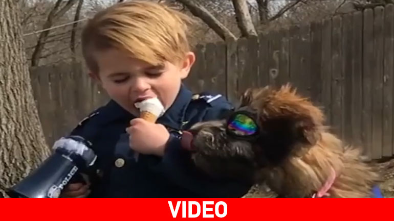 Η εκπαίδευση του σκύλου που θα σου κλέψει την καρδιά