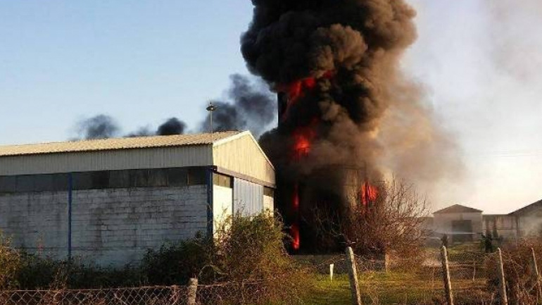 Φωτιά στη Λάρισα