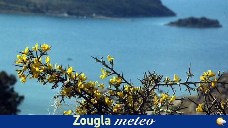 Ο καιρός των επόμενων ημερών