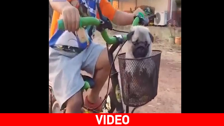 Μια ποδηλατάδα αφιερωμένη στα σκυλάκια