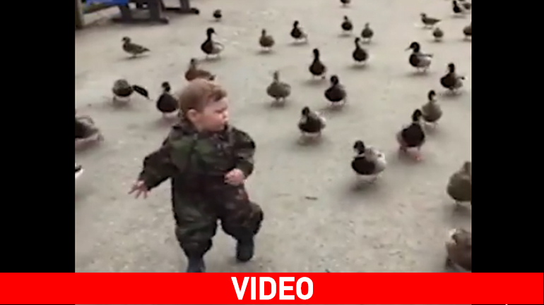 Ο μικρός φαντάρος με τον στρατό από πάπιες