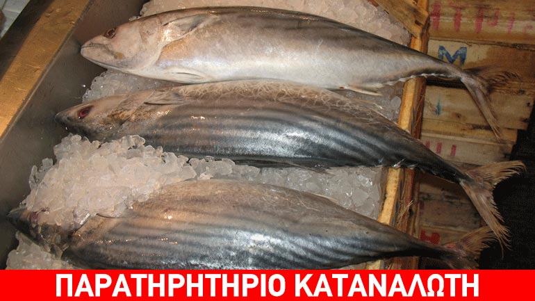 Κατάσχεση αλιευμάτων στην Ιχθυόσκαλα Νέας Μηχανιώνας