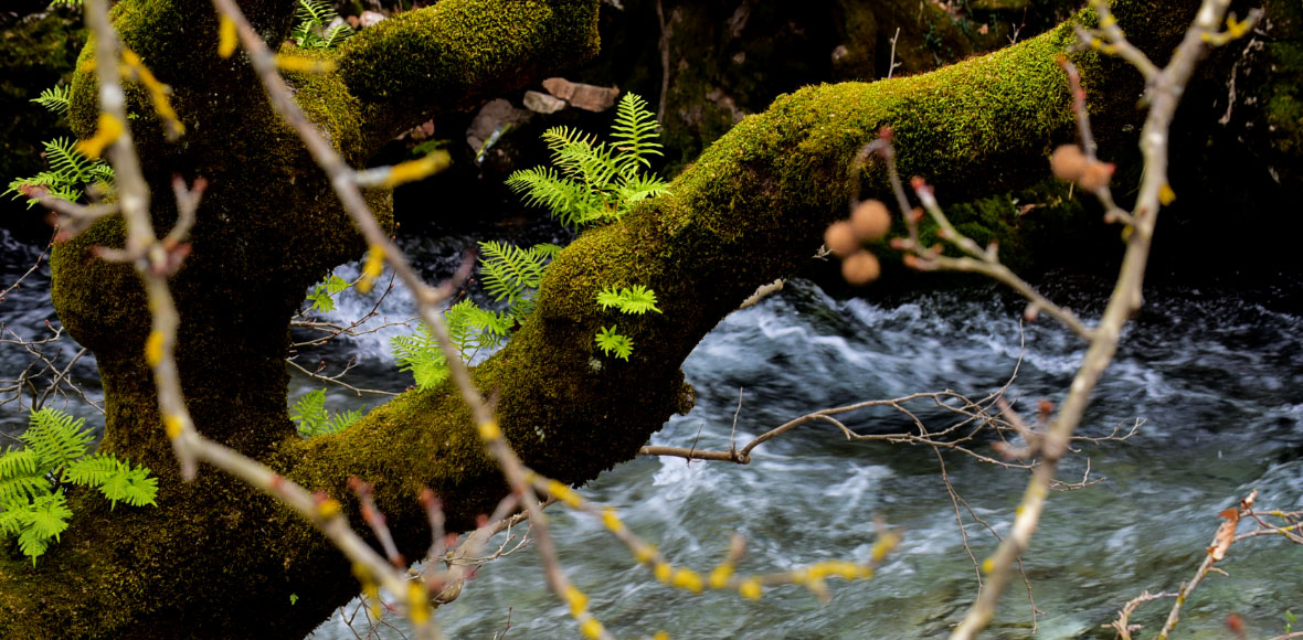 Άνοιξη στον ποταμό Ερύμανθο…