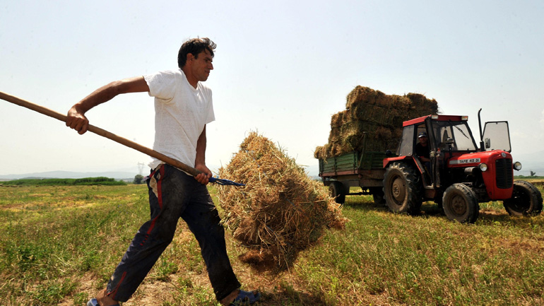 Αναδρομικές επιδοτήσεις μετατρέπουν χιλιάδες αγρότες σε… επιχειρηματίες