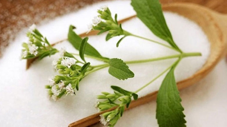 Γιατί να επιλέξουμε στέβια αντί για ζάχαρη;