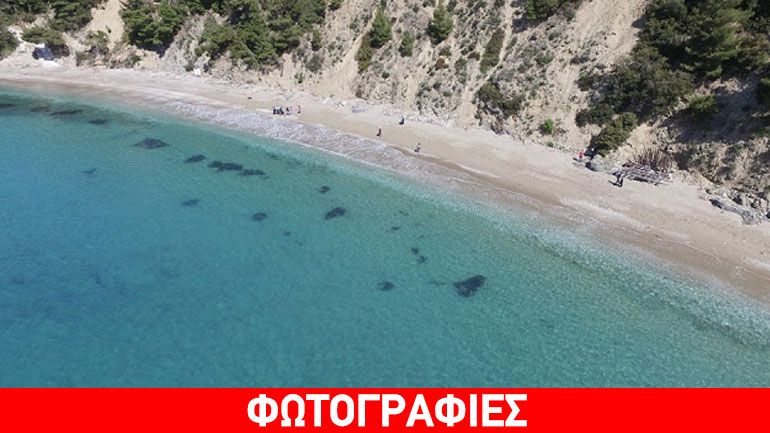 Καθαρισμός των παραλιών «Στάφυλος – Βελανιό» της Σκοπέλου