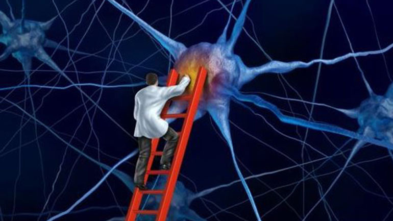 Ερευνητές στα Ιωάννινα ανακάλυψαν ουσία κατά της νόσου Πάρκινσον