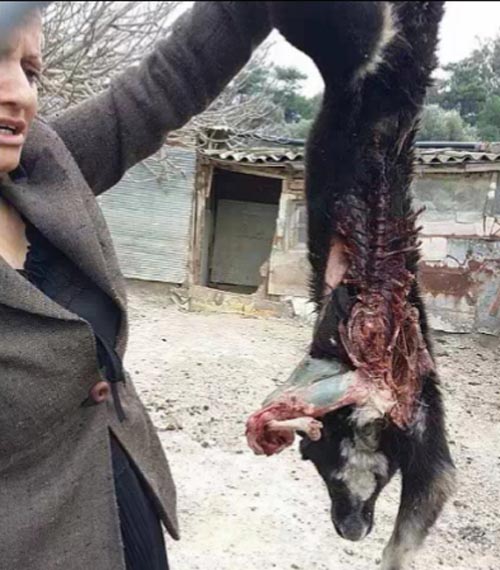 Η συγκεκριμένη φωτογραφία στην οποία αναφέρεται η Μαρία Καλουδιώτη